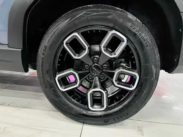 Haval Cool Dog 2022, фото 14