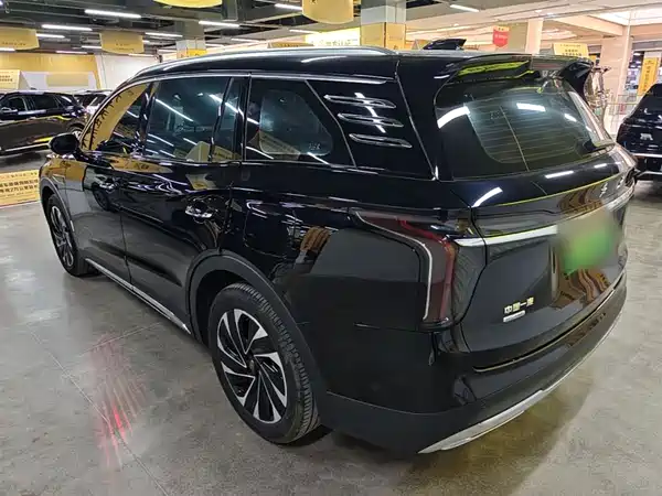 Hongqi HS7 PHEV 2024, фото 5