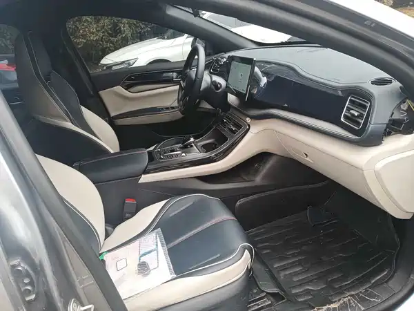 BYD Qin PLUS 2021, фото 4