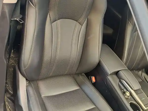 Lexus RX 2020, фото 34