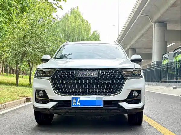 Haval H6 2023, фото 2