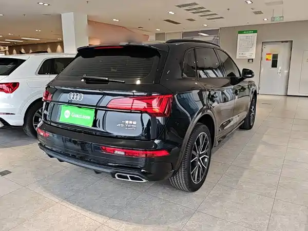 Audi Q5L 2024, фото 6