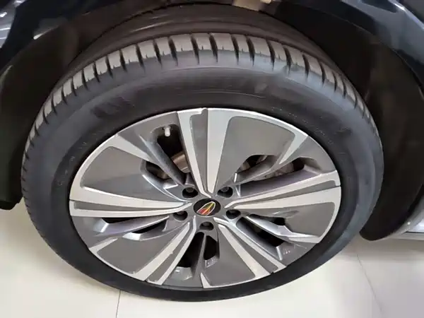 Hongqi E-HS9 2022, фото 23
