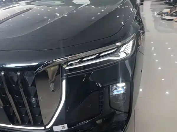 Hongqi H9 2024, фото 23
