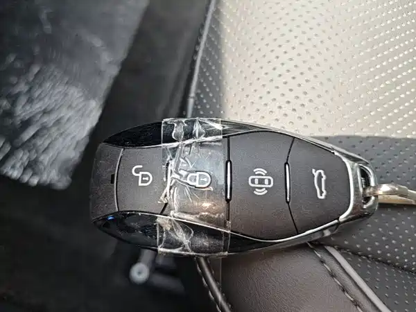 Hongqi HS7 PHEV 2024, фото 9