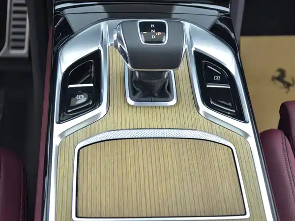 Hongqi E-HS9 2022, фото 9