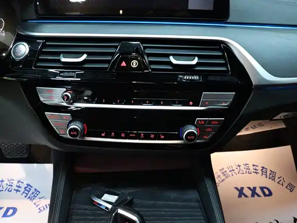 BMW 5 Series PHEV 2022, фото 13