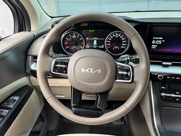 Kia Carnival 2021, фото 16