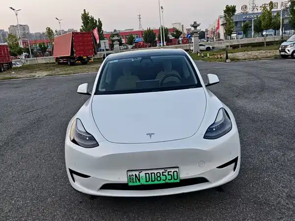Tesla Model Y 2022, фото 2