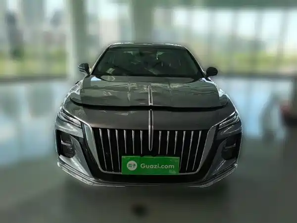 Hongqi H5 2023, фото 4