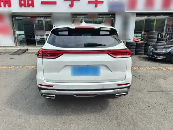 Haval H6 2021, фото 12