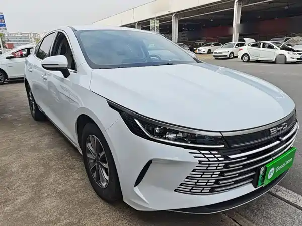 BYD Destroyer 05 2024, фото 3