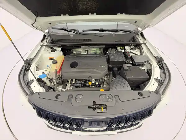 Geely Emgrand X6 2021, фото 8