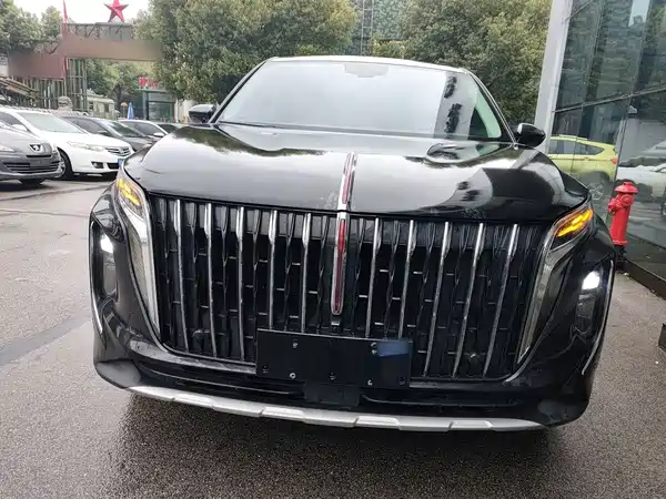 Hongqi HS7 2024, фото 3