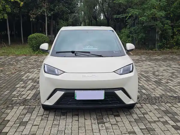 BYD Seagull 2025, фото 3