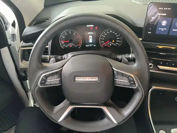 Haval H6 2021, фото 10