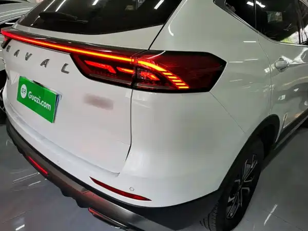 Haval H6 2021, фото 7