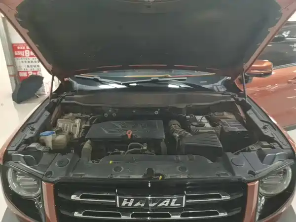 Haval Dargo 2021, фото 19