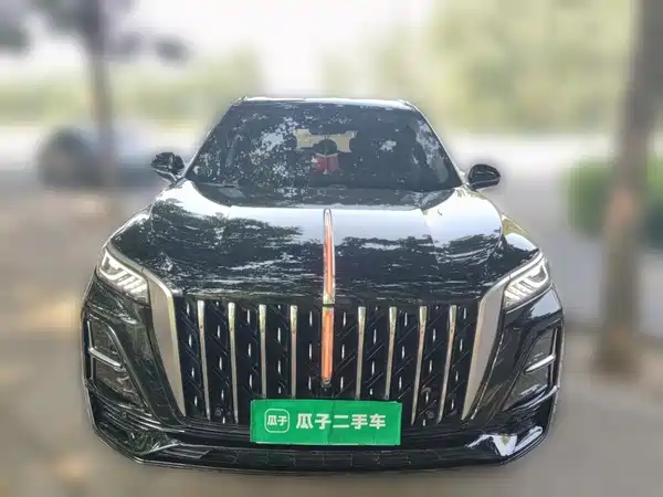 Hongqi HS5 2023, фото 23