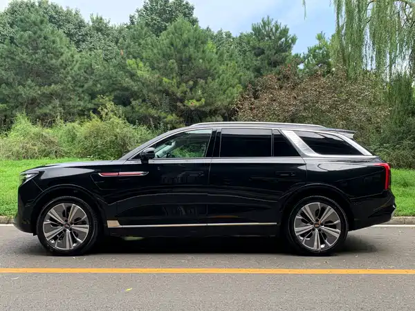 Hongqi E-HS9 2022, фото 7