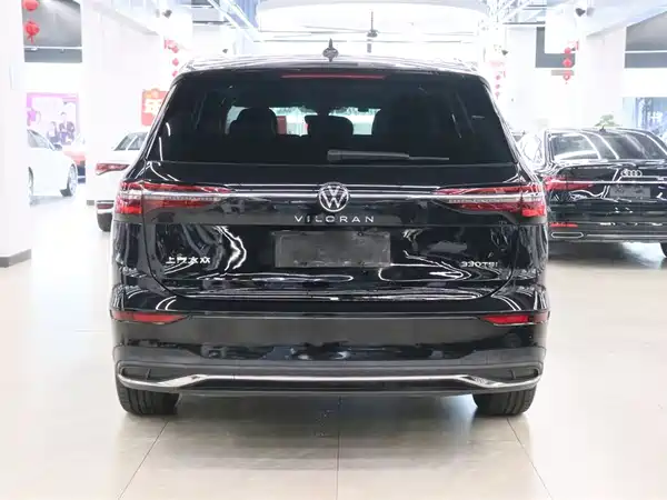 Volkswagen Viloran 2024, фото 4