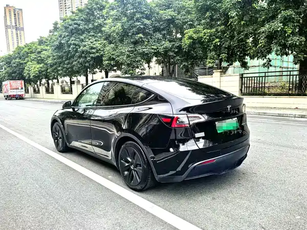 Tesla Model Y 2023, фото 5