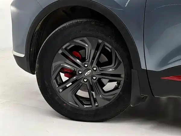 Chery Tiggo 7 2022, фото 12