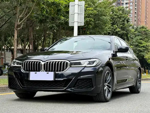BMW 5 Series PHEV 2022