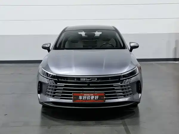 BYD Destroyer 05 2024, фото 3