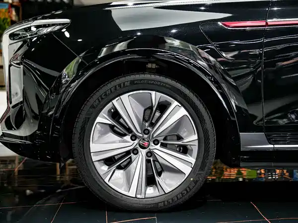 Hongqi E-HS9 2021, фото 9