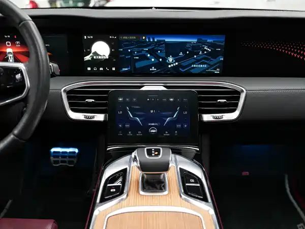 Hongqi E-HS9 2021, фото 24