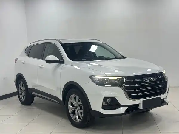 Haval H6 2021, фото 3