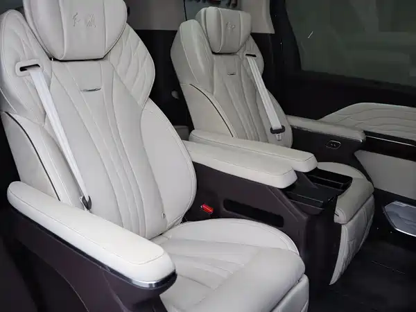 Hongqi HQ9 2023, фото 13