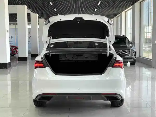 Geely Binrui 2021, фото 16