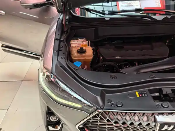 Haval F7 2021, фото 24