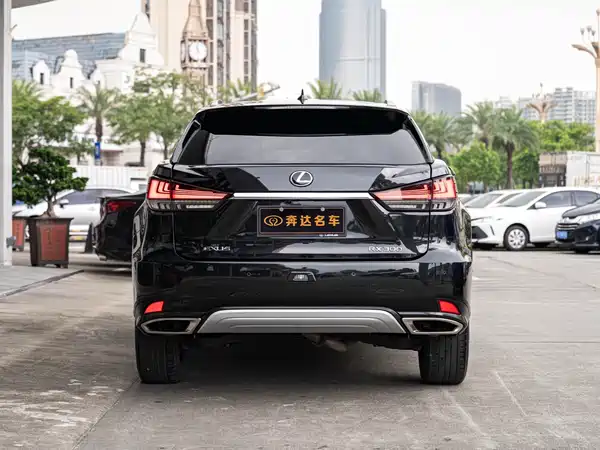 Lexus RX 2020, фото 5