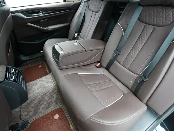 BMW 5 Series 2022, фото 15