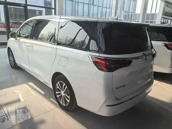 Buick GL8 2023, фото 7