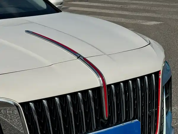 Hongqi H5 2024, фото 2