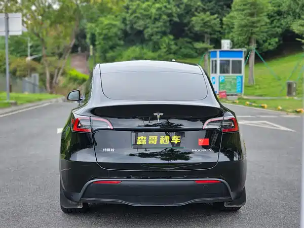 Tesla Model Y 2023, фото 7