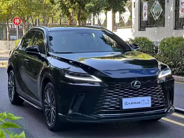 Lexus RX 2023, фото 3