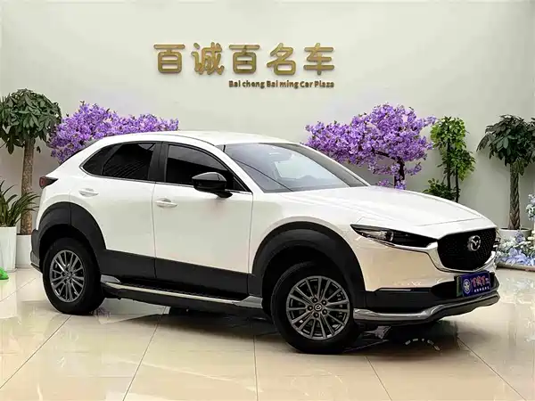 Mazda CX-30 EV 2021, фото 3