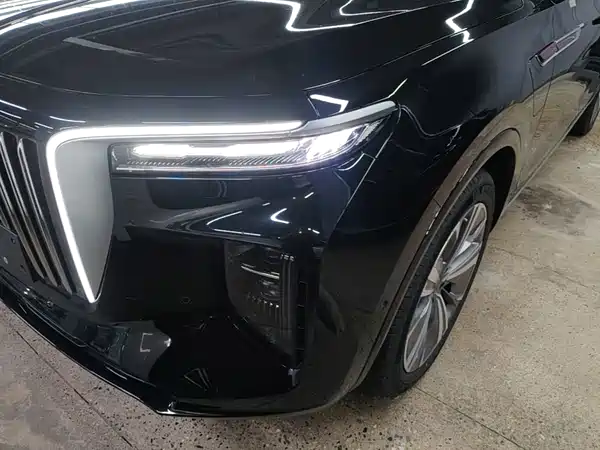 Hongqi E-HS9 2022, фото 24