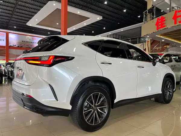 Lexus NX 2023, фото 4