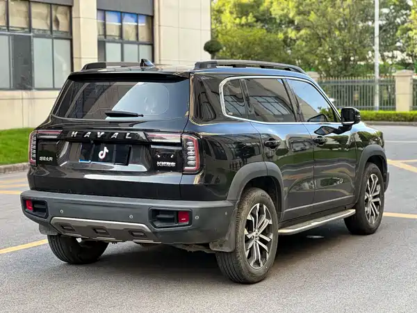 Haval Dargo 2021, фото 6