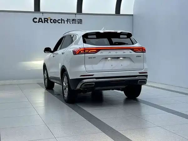 Haval H6 2021, фото 3