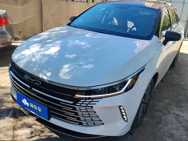 BYD Destroyer 05 2024
