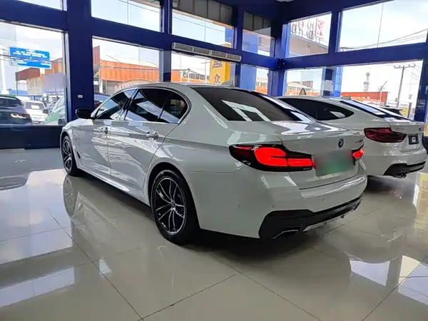 BMW 5 Series PHEV 2022, фото 5