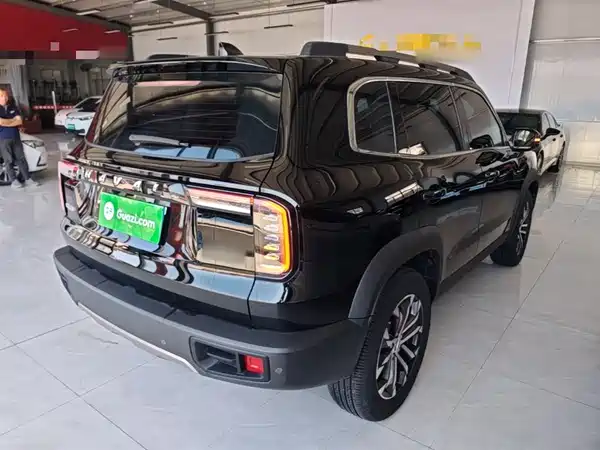 Haval Dargo 2022, фото 6