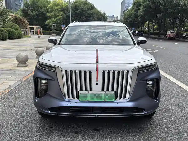 Hongqi E-HS9 2021, фото 6